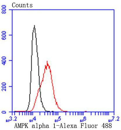 AMPK alpha-1 Antibody in Flow Cytometry (Flow)