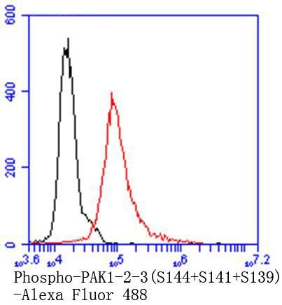 Phospho-PAK1/2/3 (Ser144, Ser141, Ser139) Antibody in Flow Cytometry (Flow)