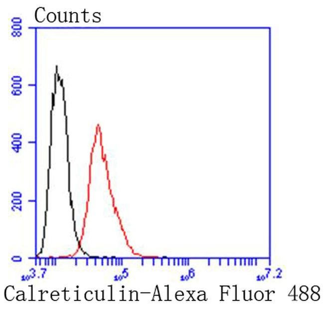 Calreticulin Antibody in Flow Cytometry (Flow)