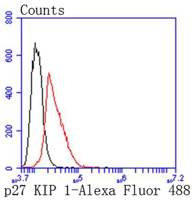 p27 Kip1 Antibody in Flow Cytometry (Flow)