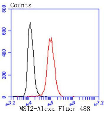 Musashi-2 Antibody in Flow Cytometry (Flow)