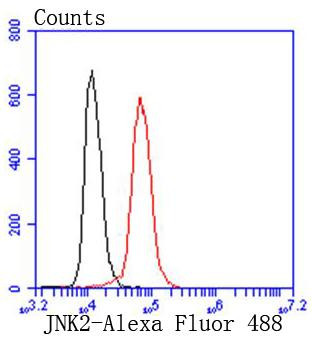 JNK2 Antibody in Flow Cytometry (Flow)