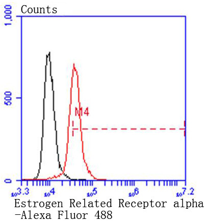 ESRRA Antibody in Flow Cytometry (Flow)