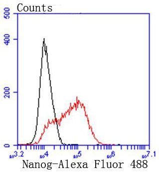 Nanog Antibody in Flow Cytometry (Flow)