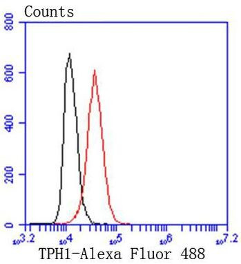 TPH1 Antibody in Flow Cytometry (Flow)