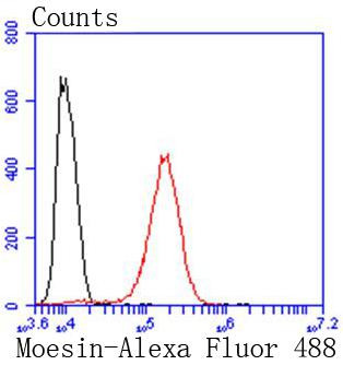 Moesin Antibody in Flow Cytometry (Flow)