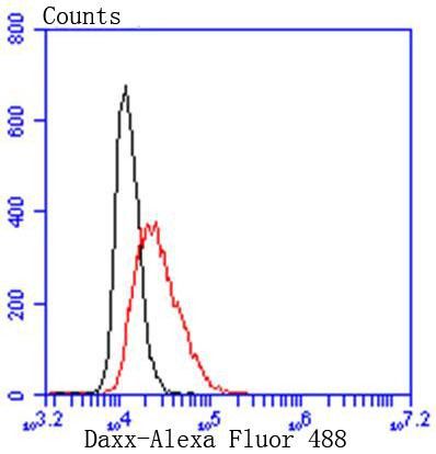 DAXX Antibody in Flow Cytometry (Flow)