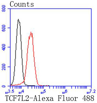 TCF7L2 Antibody in Flow Cytometry (Flow)