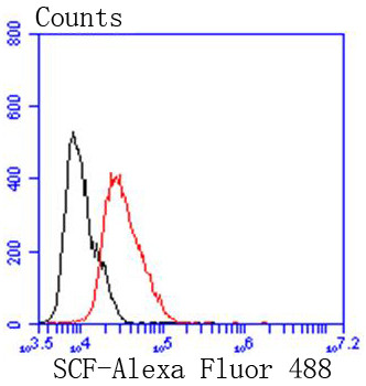 SCF Antibody in Flow Cytometry (Flow)