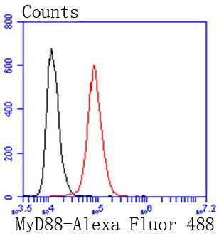 MyD88 Antibody in Flow Cytometry (Flow)