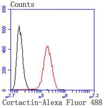 Cortactin Antibody in Flow Cytometry (Flow)