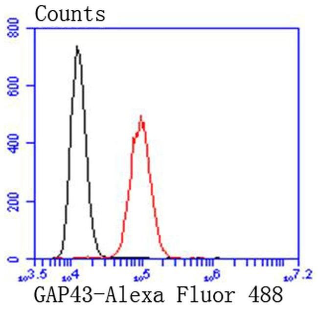 GAP43 Antibody in Flow Cytometry (Flow)