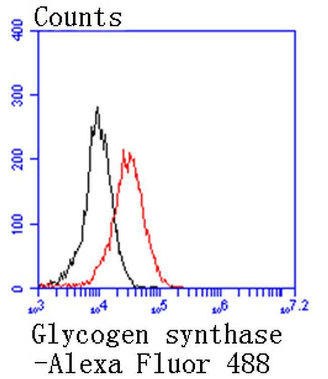 GYS1 Antibody in Flow Cytometry (Flow)