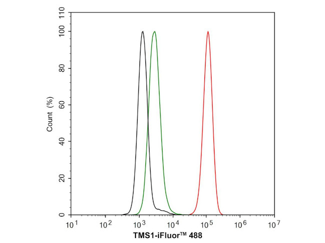 PYCARD Antibody in Immunohistochemistry (Paraffin) (IHC (P))