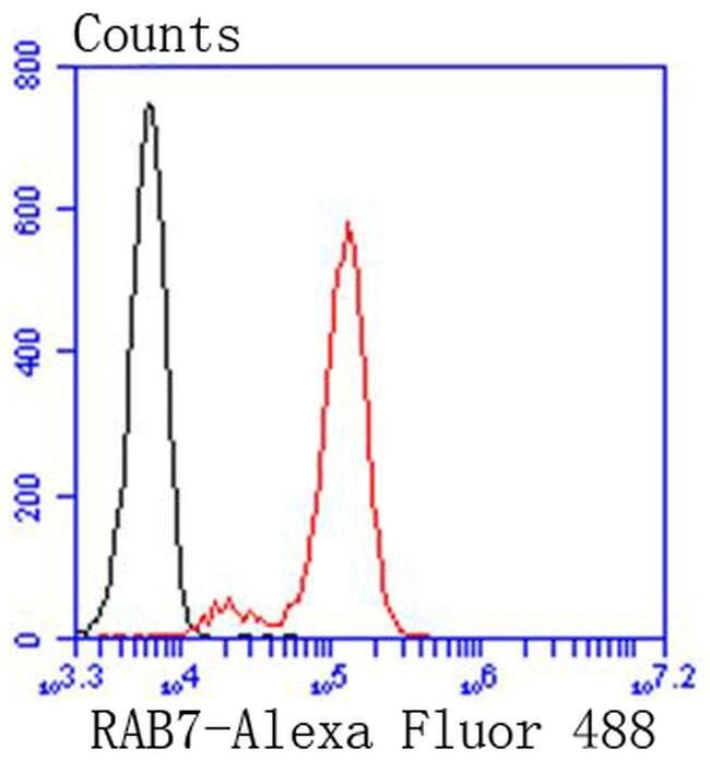 RAB7A Antibody in Flow Cytometry (Flow)