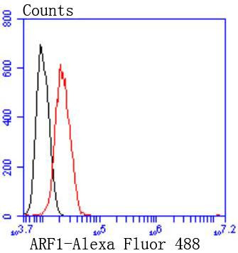 ARF1 Antibody in Flow Cytometry (Flow)