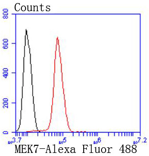 MKK7 Antibody in Flow Cytometry (Flow)