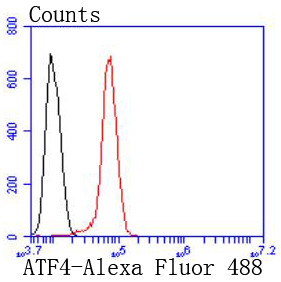 ATF4 Antibody in Flow Cytometry (Flow)