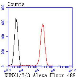 RUNX1/RUNX2/RUNX3 Antibody in Flow Cytometry (Flow)