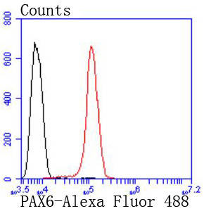 PAX6 Antibody in Flow Cytometry (Flow)