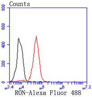 RON Antibody in Flow Cytometry (Flow)