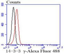 14-3-3 gamma Antibody in Flow Cytometry (Flow)