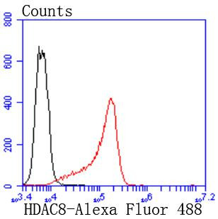 HDAC8 Antibody in Flow Cytometry (Flow)