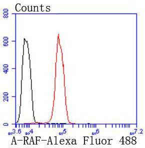 A-Raf Antibody in Flow Cytometry (Flow)