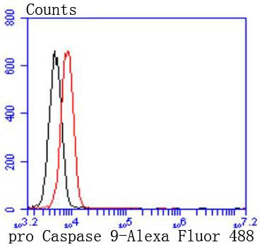 pro-Caspase 9 Antibody in Flow Cytometry (Flow)