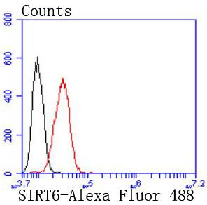 SIRT6 Antibody in Flow Cytometry (Flow)