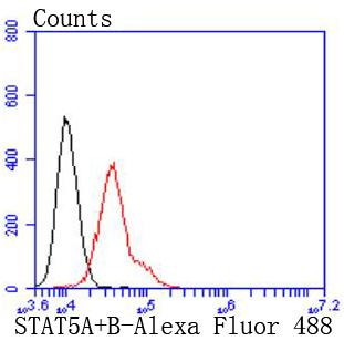 STAT5 alpha/beta Antibody in Flow Cytometry (Flow)