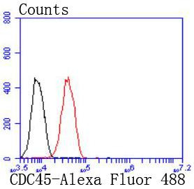 Cdc45L Antibody in Flow Cytometry (Flow)