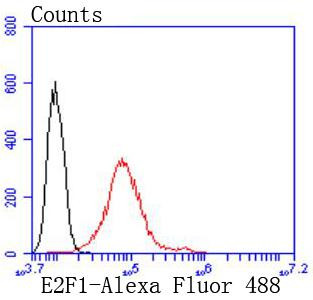 E2F1 Antibody in Flow Cytometry (Flow)