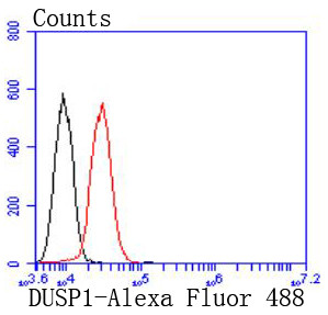 MKP-1 Antibody in Flow Cytometry (Flow)