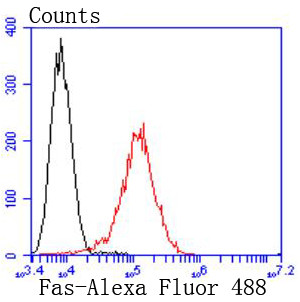 Fas Antibody in Flow Cytometry (Flow)