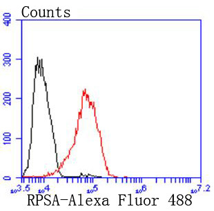 RPSA Antibody in Flow Cytometry (Flow)