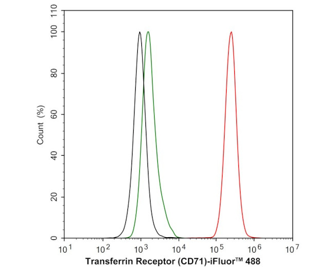 CD71 (Transferrin Receptor) Antibody in Immunohistochemistry (Paraffin) (IHC (P))