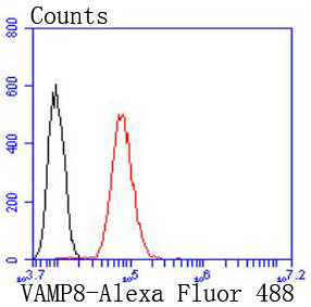 VAMP8 Antibody in Flow Cytometry (Flow)