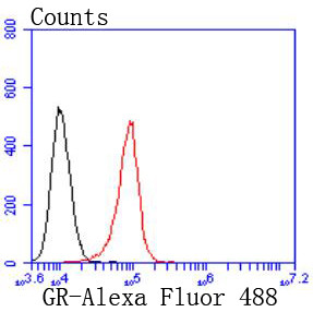 Glucocorticoid Receptor Antibody in Flow Cytometry (Flow)