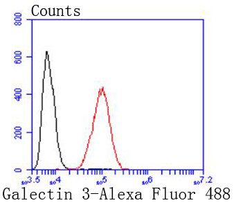 Galectin 3 Antibody in Flow Cytometry (Flow)