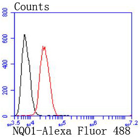 NQO1 Antibody in Flow Cytometry (Flow)