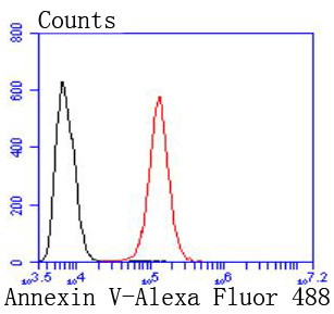 Annexin V Antibody in Flow Cytometry (Flow)