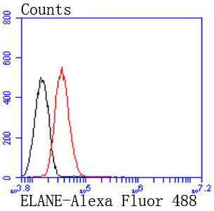 Neutrophil elastase Antibody in Flow Cytometry (Flow)