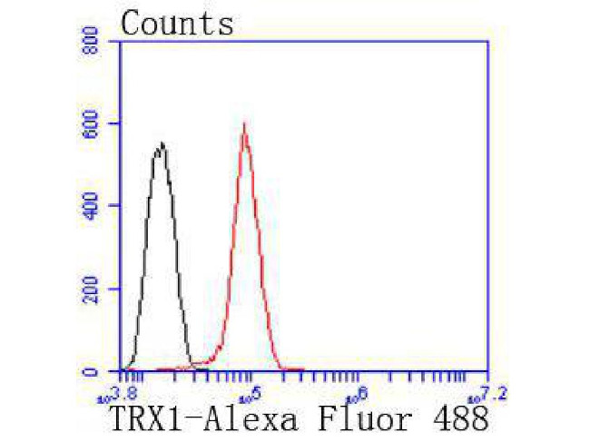 Thioredoxin 1 Antibody in Immunohistochemistry (Paraffin) (IHC (P))