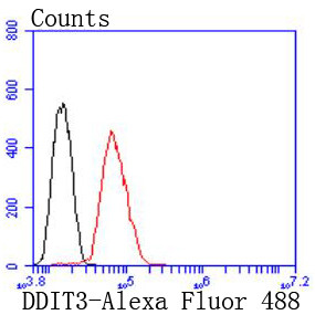 CHOP Antibody in Flow Cytometry (Flow)