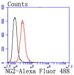 Neural/Glial Antigen 2 (NG2) Antibody in Flow Cytometry (Flow)