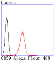 CD59 (Protectin) Antibody in Flow Cytometry (Flow)