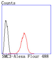 SMC3 Antibody in Flow Cytometry (Flow)