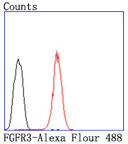 FGFR3 Antibody in Flow Cytometry (Flow)