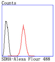 SDHA Antibody in Flow Cytometry (Flow)